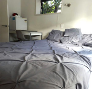 Group Accommodation Christchurch